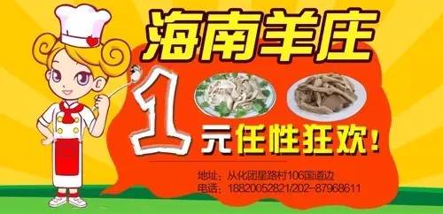 2019年香港六合彩生肖数字一览表，揭秘与解析香港6合和彩生肖数字开奖