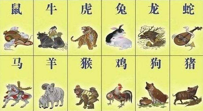 揭秘香港6合和彩生肖数字图片对比，传统与现代技术的碰撞香港6合和彩官网12生肖