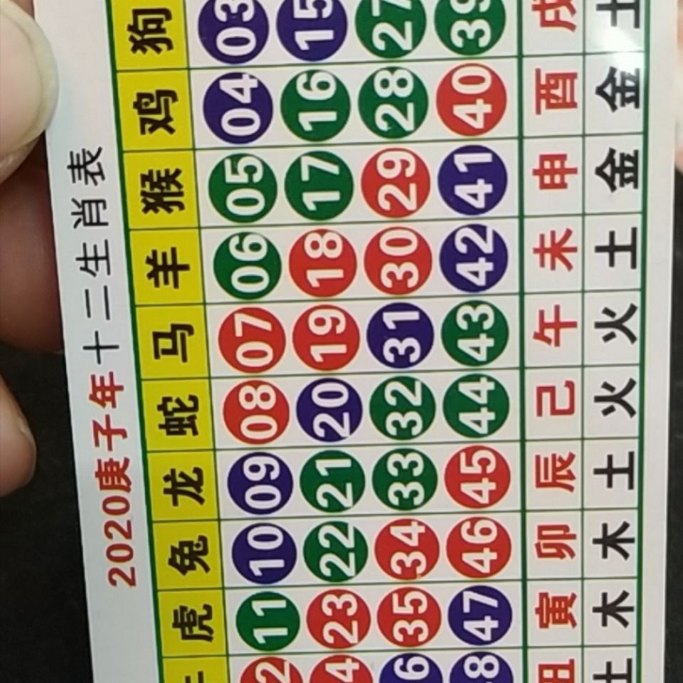 2048年香港6合和彩生肖数字开奖记录一览表，揭秘未来与传统的碰撞