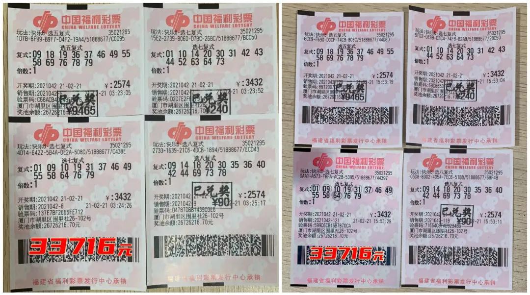 香港6合开彩今日最新动态与直播观感香港6合开彩开奖直播今天最新消息新闻