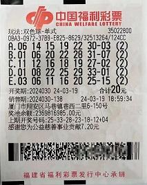 揭秘香港6合开彩，最新中奖记录查询与理性投注指南香港6合开彩开奖记录查询结果最新消息